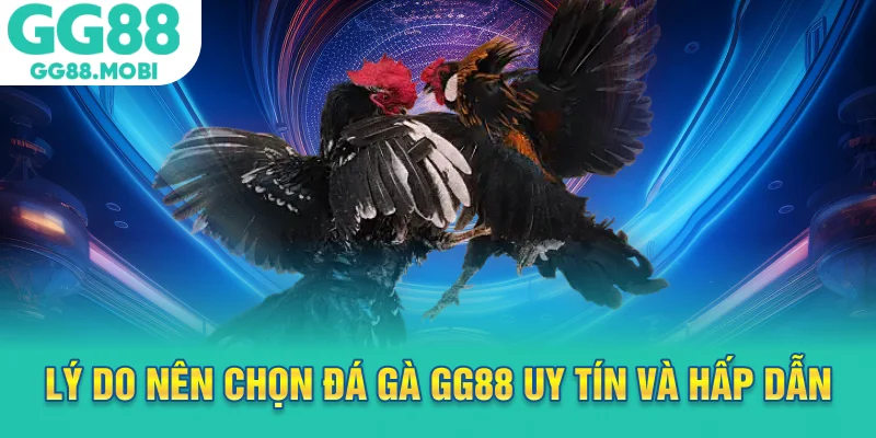 Lý do nên chọn đá gà GG88 uy tín và hấp dẫn